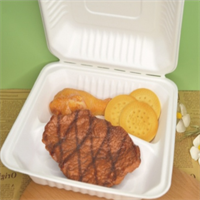  sugarcane lunch box from mmcis china 