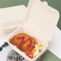  sugarcane lunch box from mmcis china 