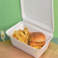  sugarcane lunch box from mmcis china 