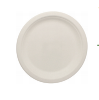 biodegradable tableware from MMCIS China