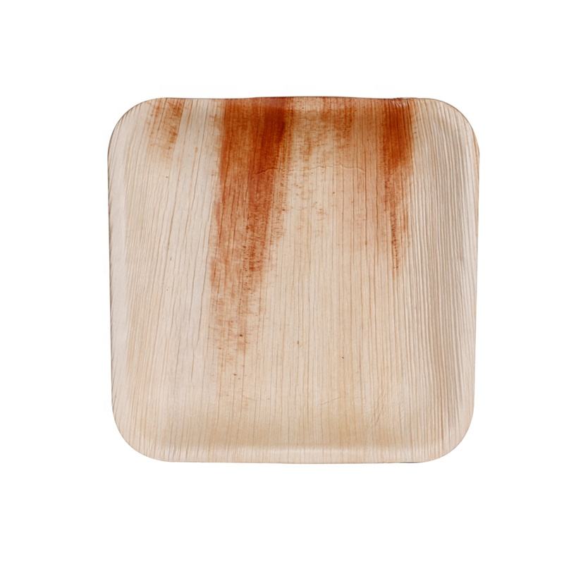 bio-degradable tableware from mmcis china