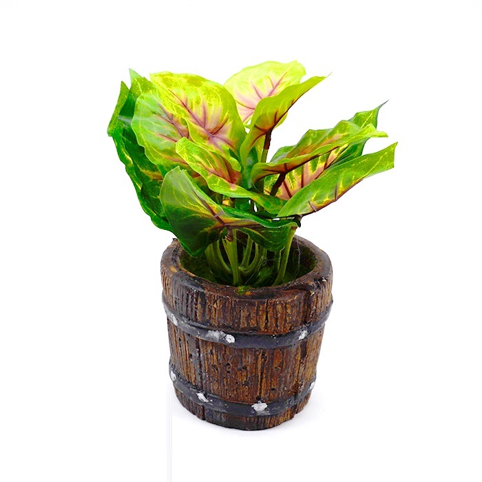 Plant from MMCIS GROUP