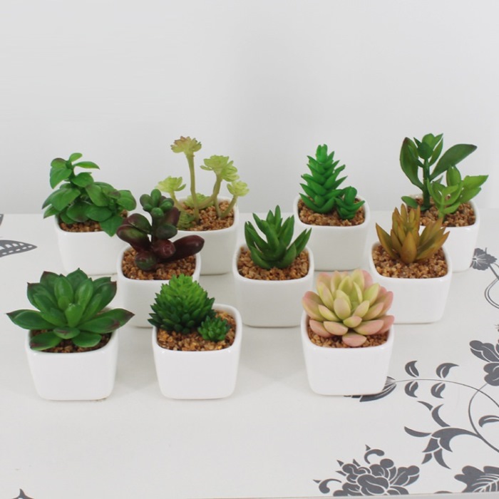 artifical succulent plant with pot from mmcis china