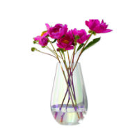 Glass vase from mmcis china
